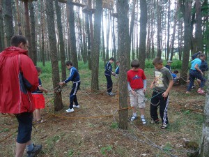 DSC00919 (62)   